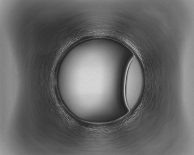 X0000116430673200912081221