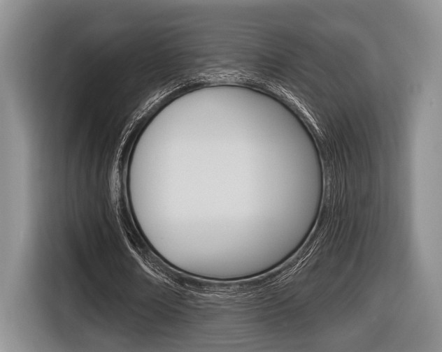 X0000116430674200912081221