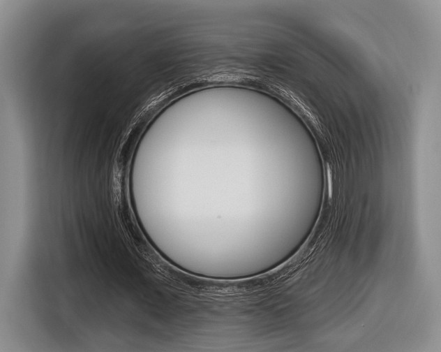 X0000116430675200912081221
