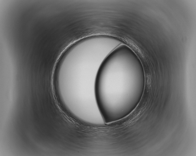 X0000116430676200912081221