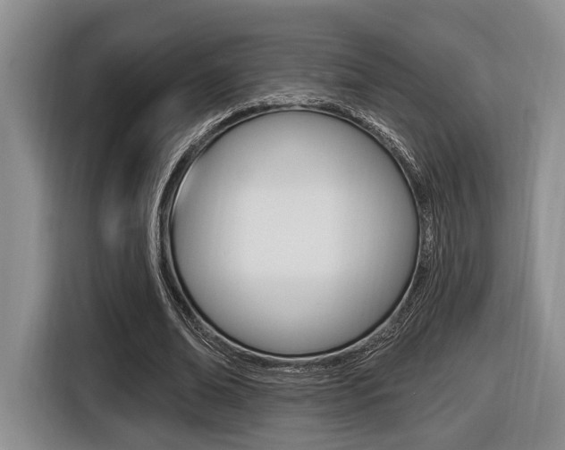 X0000116430678200912081221