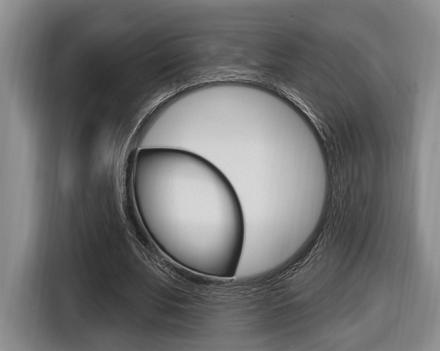 X0000116430679200912081221
