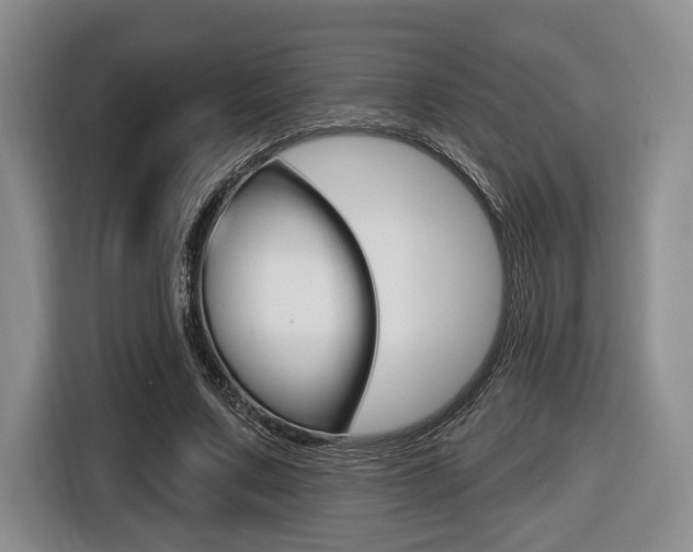 X0000116430683200912081221