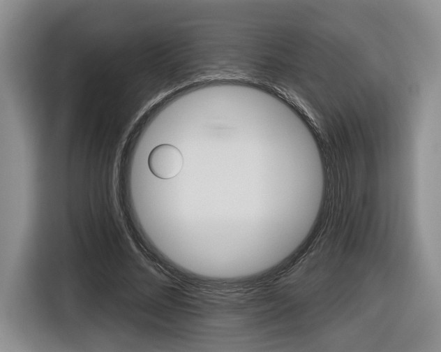 X0000116430684200912081221