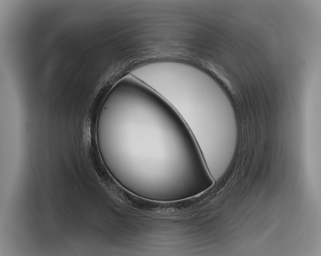 X0000116430685200912081221