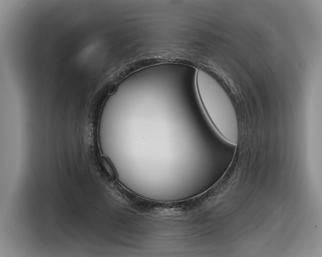 X0000116430689200912081221