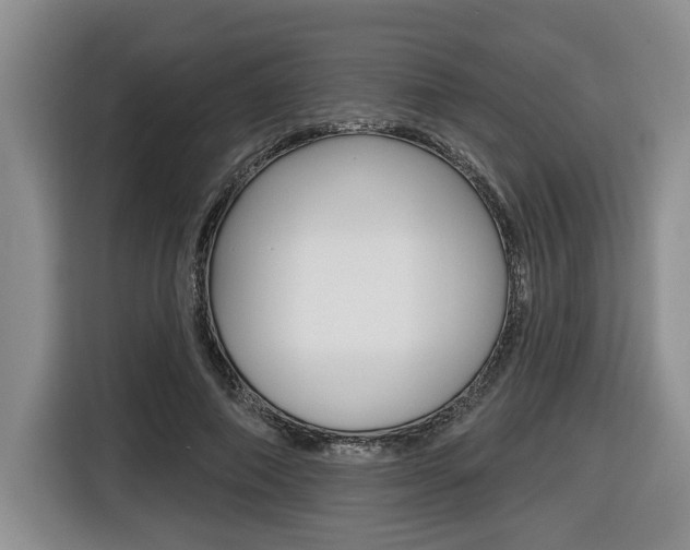 X0000116430690200912081221