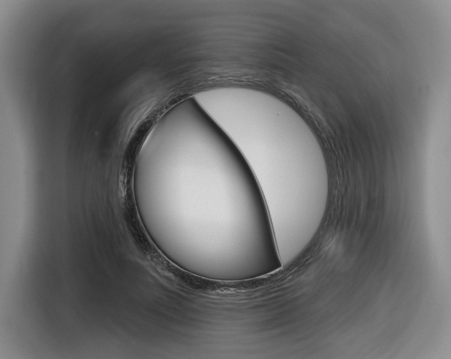 X0000116430691200912081221