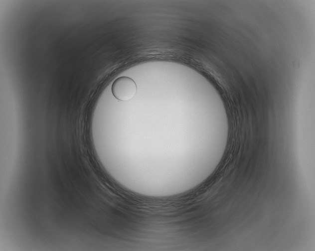X0000116430692200912081221