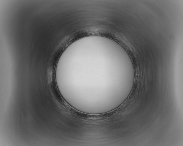 X0000116430694200912081221
