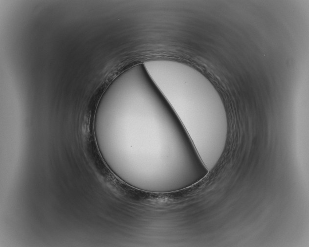 X0000116430695200912081221