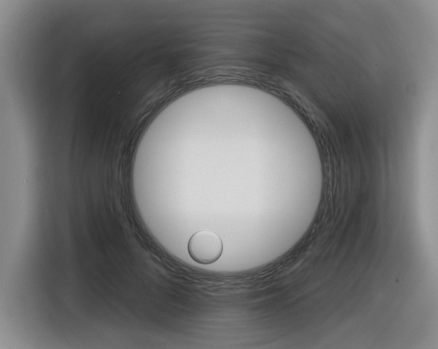 X0000116430696200912081221