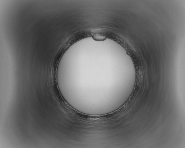 X0000116430698200912081221