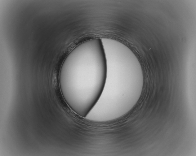 X0000116430699200912081221