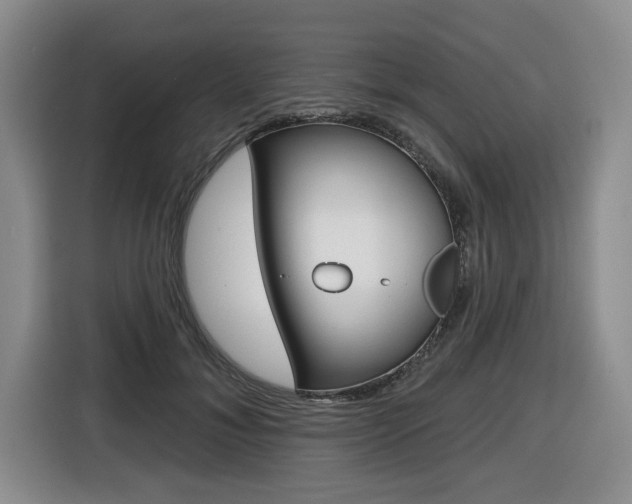 X0000116430700200912081221