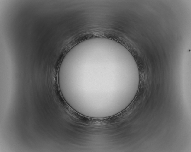 X0000116430702200912081221