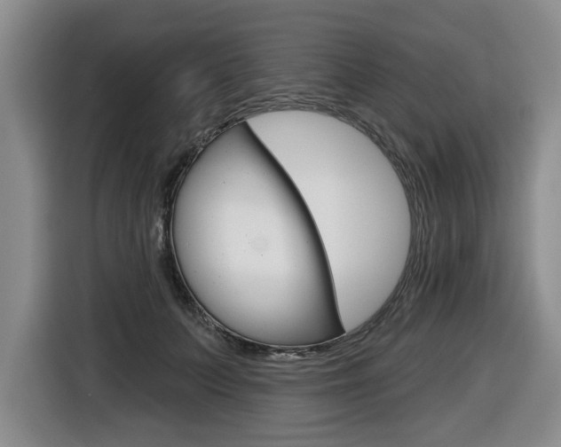 X0000116430703200912081221