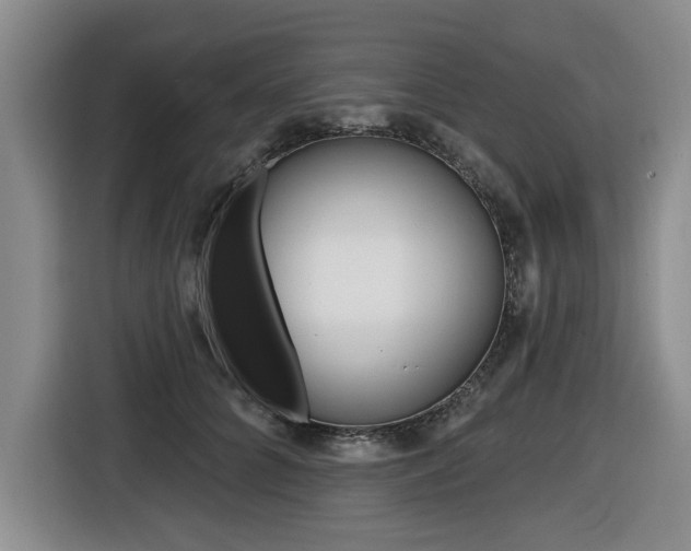X0000116430704200912081221