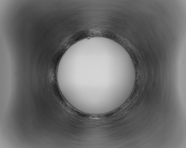 X0000116430706200912081220
