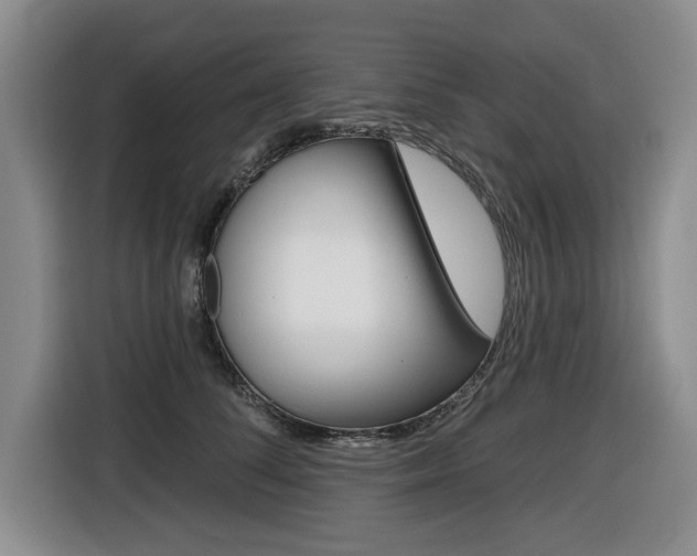 X0000116430708200912081220