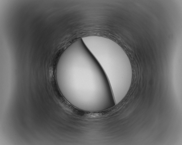 X0000116430711200912081220