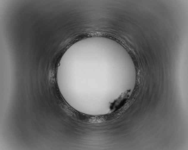 X0000116430714200912081220