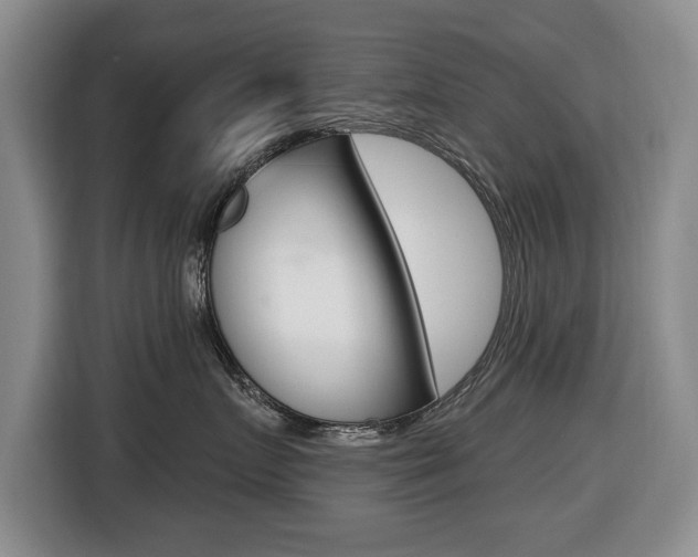 X0000116430719200912081220