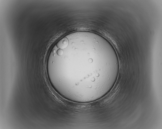 X0000116430721200912081220