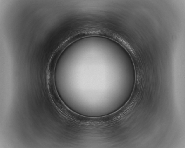 X0000116430722200912081220