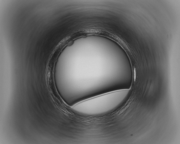 X0000116430723200912081220