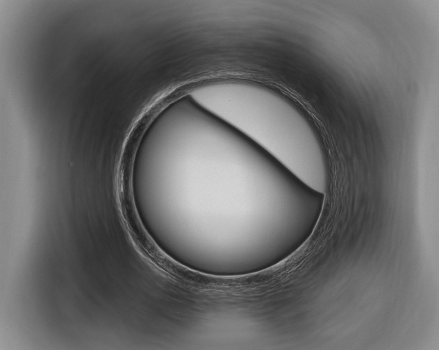 X0000116430726200912081220