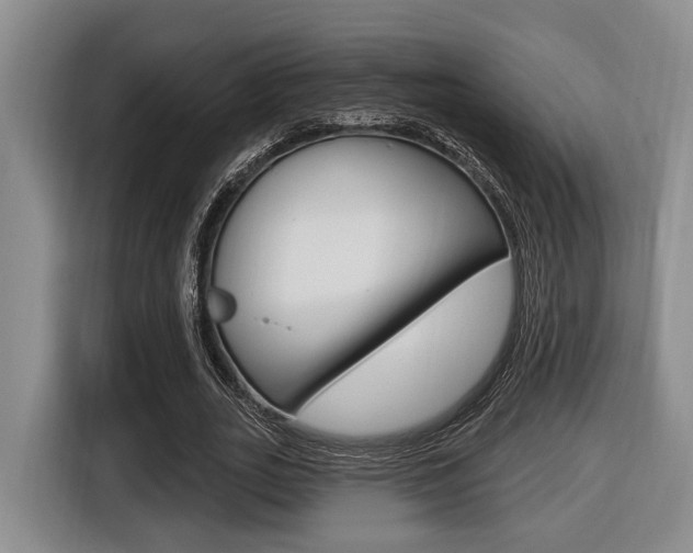 X0000116430727200912081220