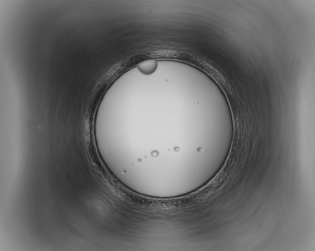 X0000116430729200912081220