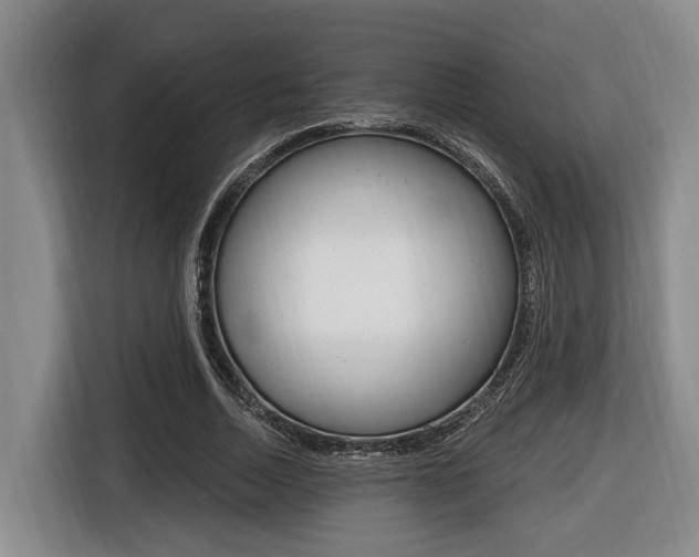 X0000116430730200912081220
