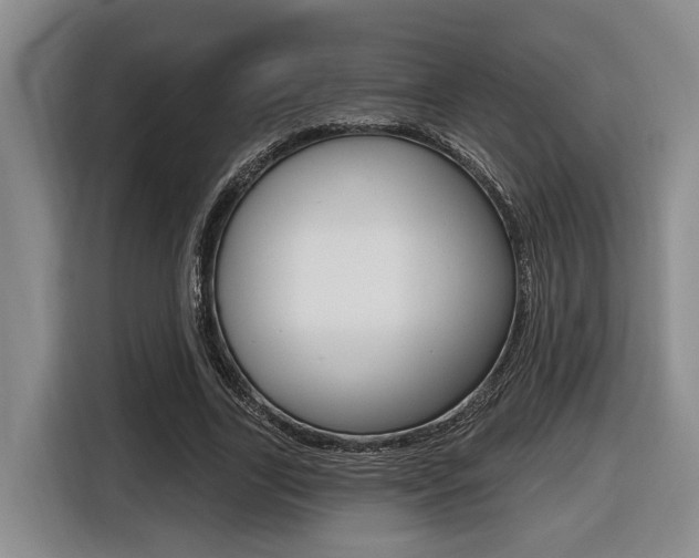 X0000116430731200912081220