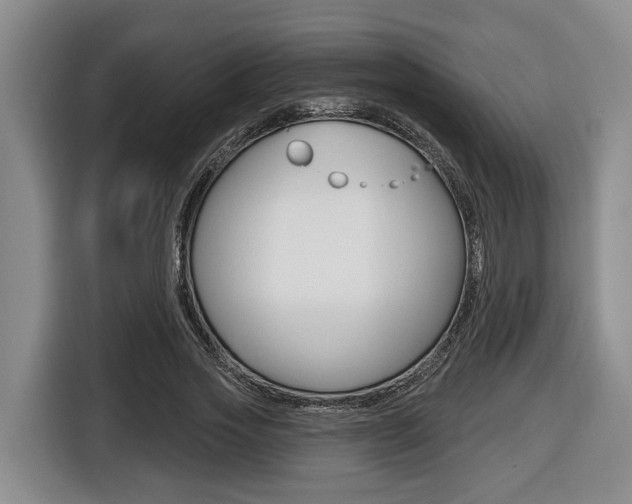 X0000116430733200912081220