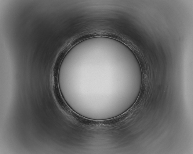 X0000116430734200912081220