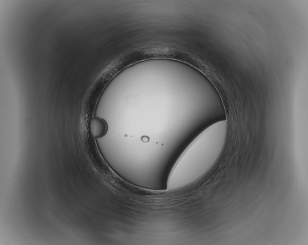 X0000116430735200912081220