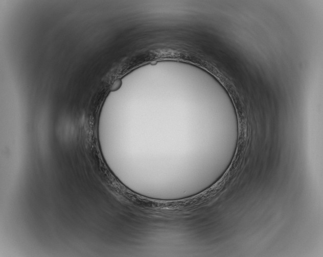 X0000116430737200912081220