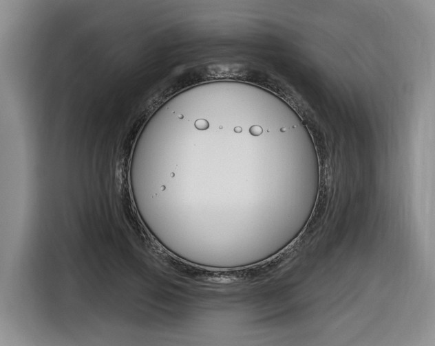 X0000116430741200912081220