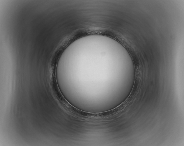 X0000116430742200912081220