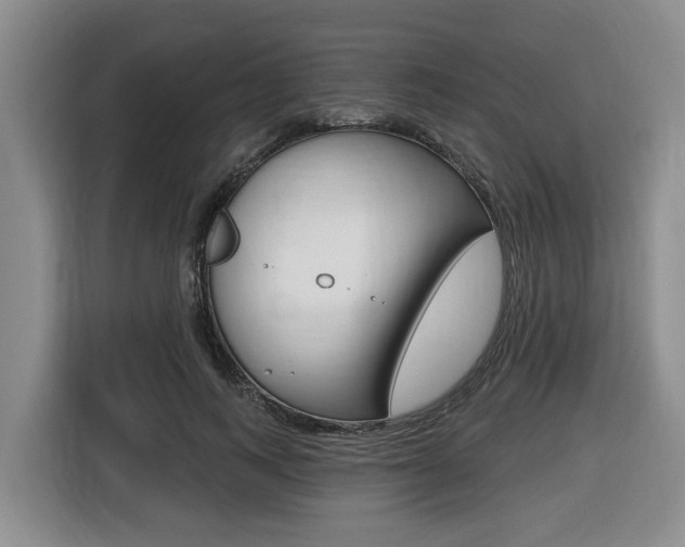 X0000116430743200912081220