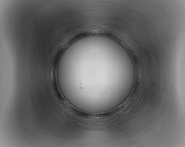X0000116430746200912081220