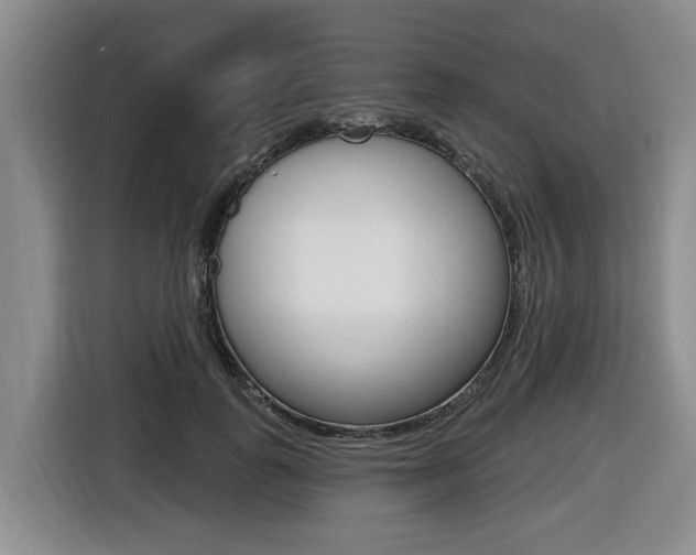 X0000116430747200912081220
