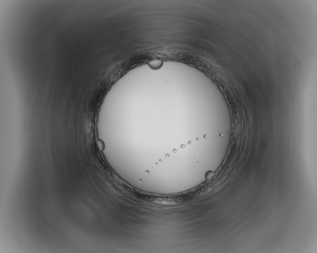 X0000116430749200912081220