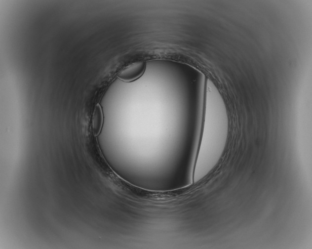 X0000116430750200912081220