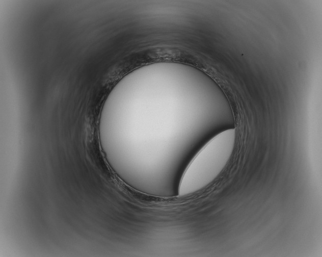 X0000116430751200912081220