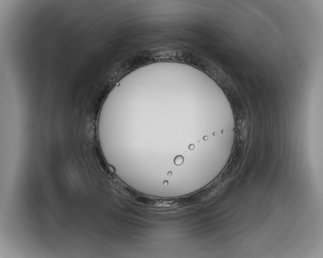 X0000116430753200912081220