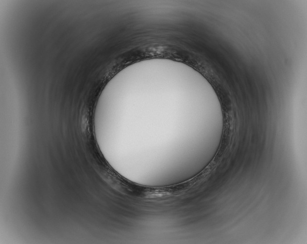 X0000116430754200912081220