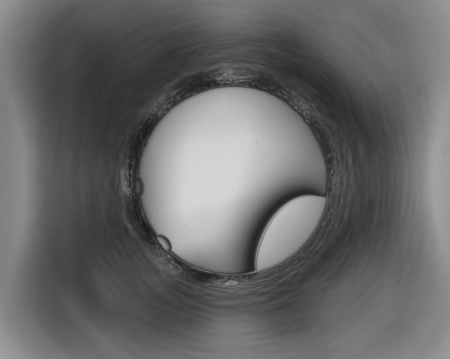 X0000116430755200912081220